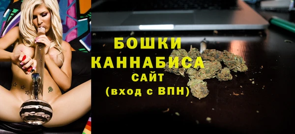 сатива Козловка