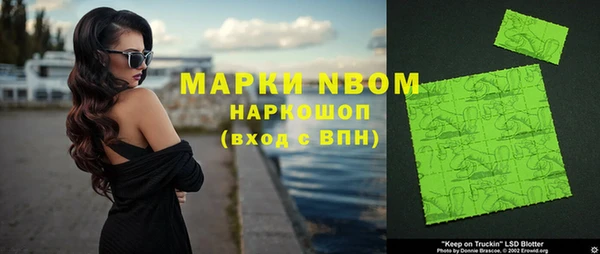 сатива Козловка
