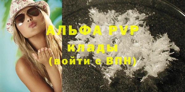 сатива Козловка