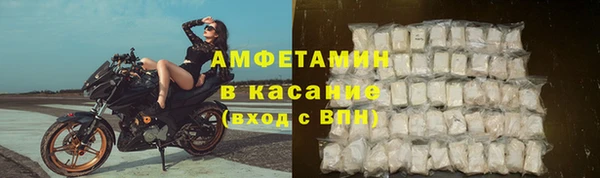 сатива Козловка