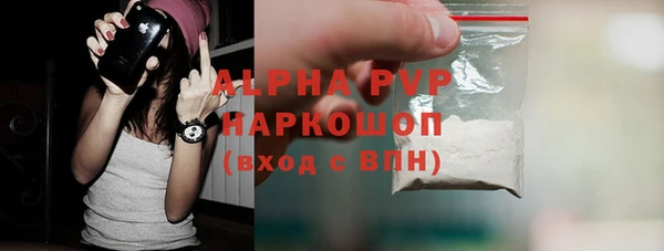 сатива Козловка