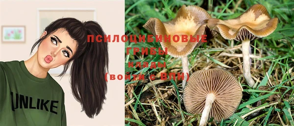 спайс Козельск