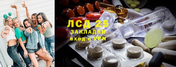 сатива Козловка