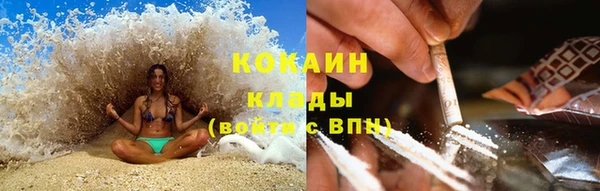 сатива Козловка