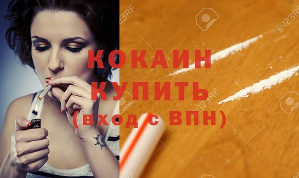 сатива Козловка