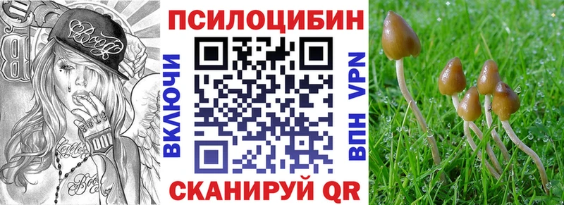 Псилоцибиновые грибы Cubensis  Юрьевец 